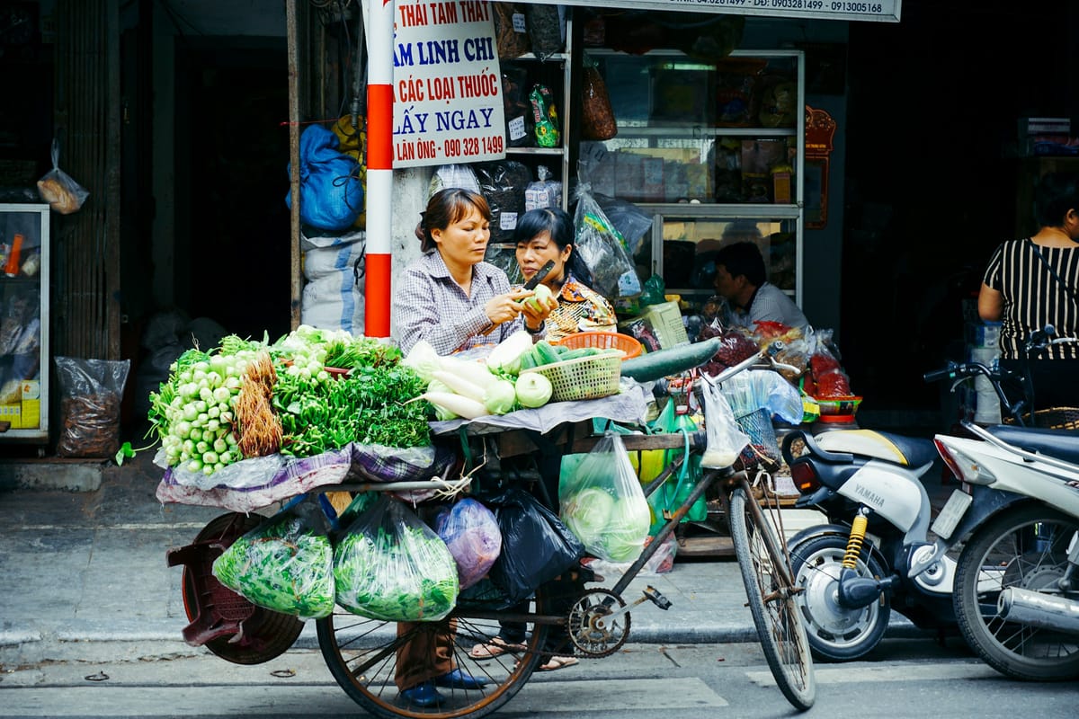 A bicycle vegetable stall on a Hanoi street, two women preparing produce at a loaded stall board, with a herbal medicine shopfront behind them and motorbikes parked alongside