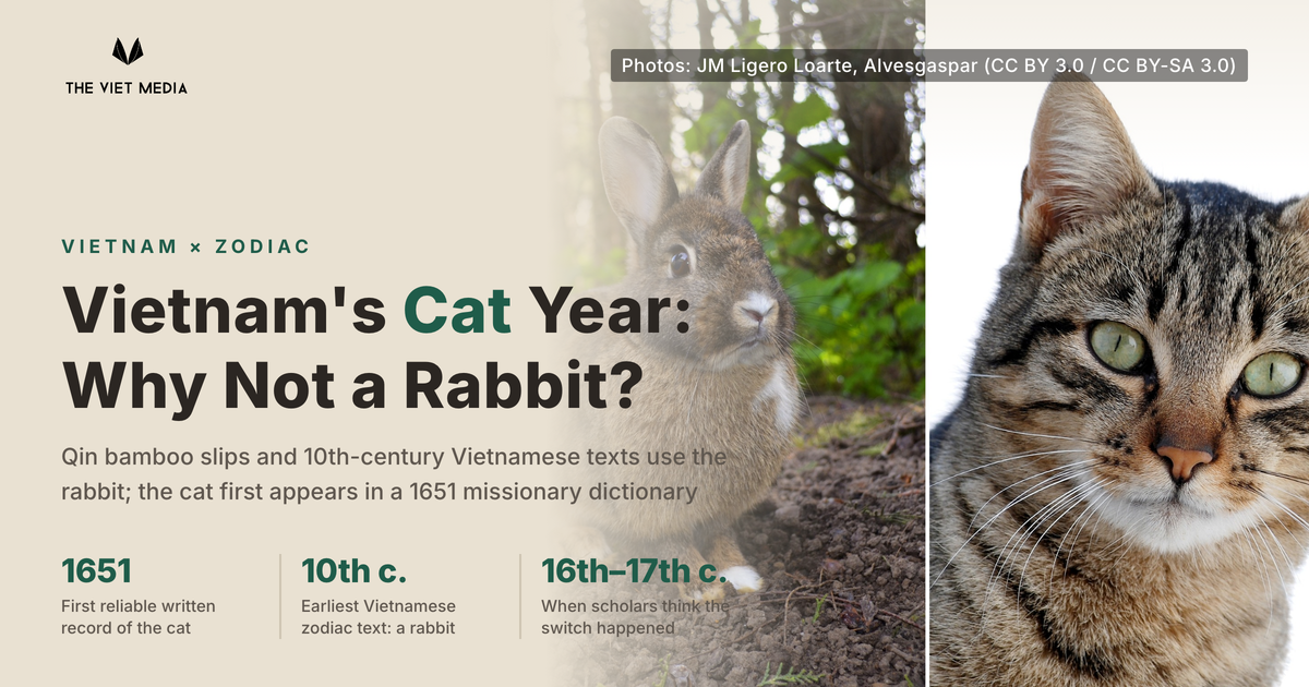 A rabbit on the left and a tabby cat on the right, with the headline Vietnam’s Cat Year, Why Not a Rabbit