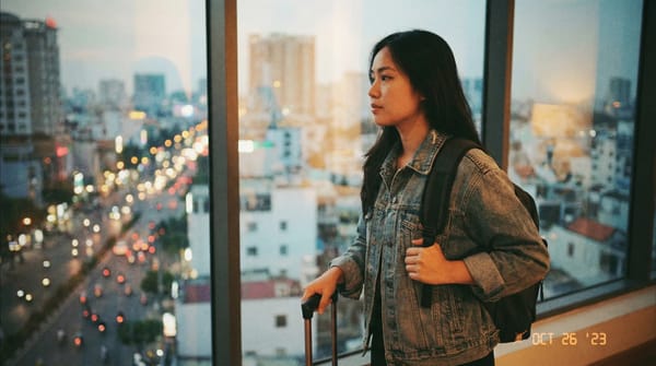 Việt Kiều reverse migration