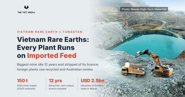 Who Is Actually Working Vietnam's Rare Earths? The Mine Sat Idle for 12 Years, and Every Plant Runs on Imported Feed