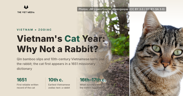 A rabbit on the left and a tabby cat on the right, with the headline Vietnam’s Cat Year, Why Not a Rabbit