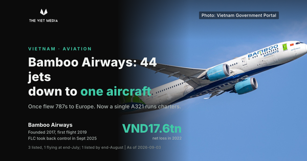 Bamboo Airways Shrank From 44 Aircraft to One. Why Three Years of Restructuring Have Not Fixed It